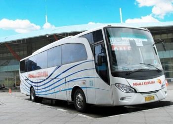 Buruan! Ada Diskon 50% Beli Tiket Bus Pahala Kencana di Bussr   