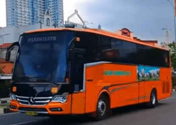 Bus-Bus Langka dan Limited Edition di Indonesia