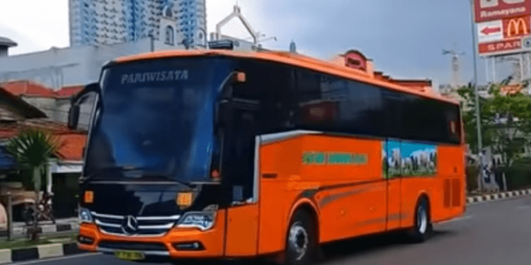 Bus-Bus Langka dan Limited Edition di Indonesia