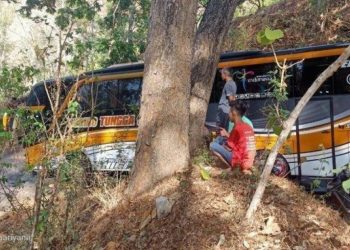 Bus Sudiro Tungga Jaya Tersesat di Hutan Wonogiri, Kok Bisa?