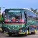 Empat Bus Ini Layani Rute Terjauh di Indonesia, Simak Harga Tiketnya
