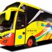 Gunakan Micro Bus, PO Rosalia Indah Layani Rute Cepat Yogyakarta-Malang