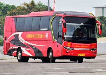 Harga Tiket dan Jam Keberangkatan Bus Sindoro Satriamas Jurusan Jakarta – Madiun