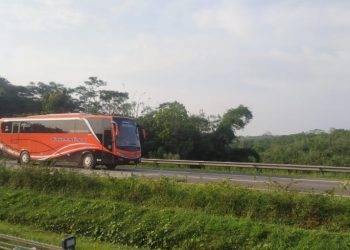 Larangan Mudik, Ketua BMC: Hati Nurani Sedih, Tapi Pikirkan Risiko Kesehatannya