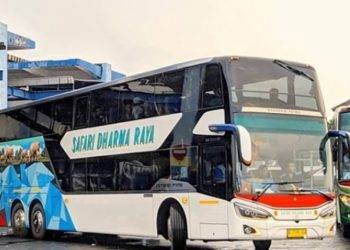 Mau Naik Bus Double Decker Safari Dharma Raya? Berikut Info Jadwal dan Tarifnya