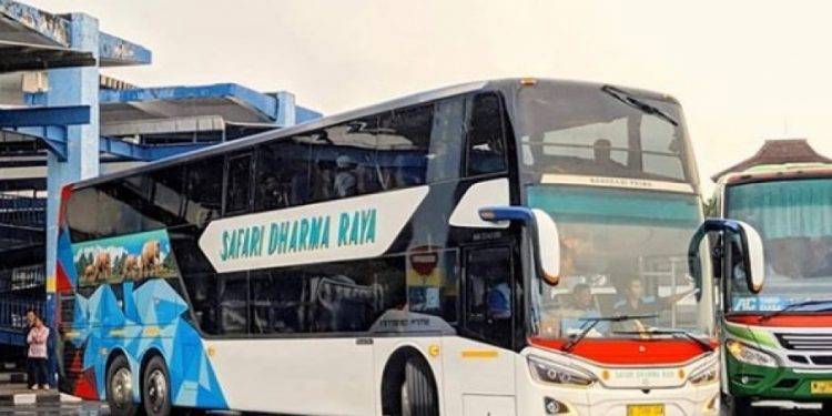 Mau Naik Bus Double Decker Safari Dharma Raya? Berikut Info Jadwal dan Tarifnya