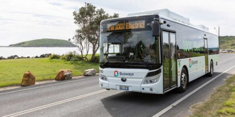 Pakai Sasis BYD, Nexport Siap Bawa Bus Tanpa Emisi ke Pasar Australia