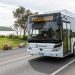 Pakai Sasis BYD, Nexport Siap Bawa Bus Tanpa Emisi ke Pasar Australia