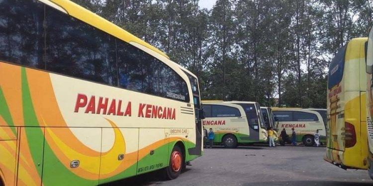 PO Pahala Kencana, Punya Bus AKAP Hingga Jasa Titipan Barang