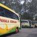 PO Pahala Kencana, Punya Bus AKAP Hingga Jasa Titipan Barang