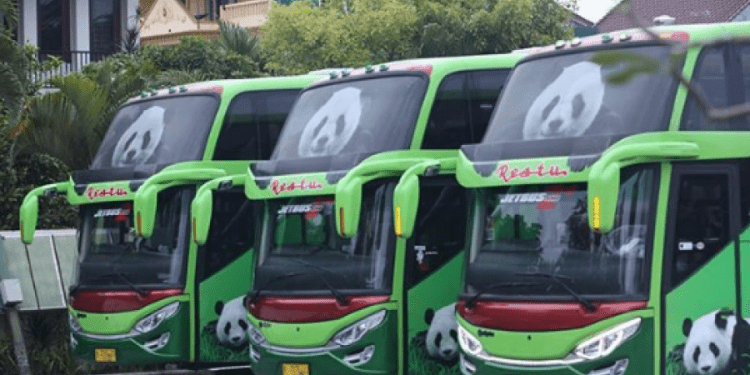 PO Restu Buka Lowongan Kerja Berbagai Posisi. Sopir dan Kondektur Ada