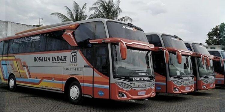PO Rosalia Indah Rilis 8 Bus Baru Kelas Executive Plus
