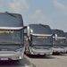 Scania K410 IB 6×2 Jadi Sasis Premium Pertama Untuk Kelas Ekonomi PO SAN