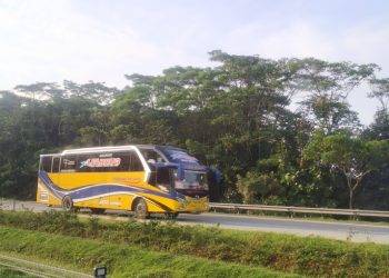 Soal Larangan Mudik, Bismania Community Minta Pemerintah Perkuat Aturan di Lapangan