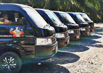 Suzuki New Carry Pick Up Kuasai Pasar Kendaraan Niaga Ringan di Indonesia