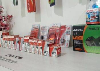 Tahun 2020, Wealthy Group Geber Produk Aftermarket untuk Mobil Listrik