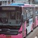 Upaya Kurangi Risiko Pelecehan Seksual, Transjakarta Tambah 10 Unit Bus Pink Khusus Wanita