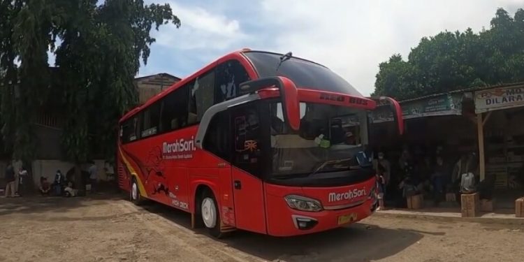 Usai Hibernasi, Bus Legendaris PO Merah Sari Kembali Mengaspal