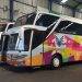 5 Livery Unik PO Bus, Ada Arti dan Filosofinya