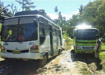 Kemenhub Naikkan Alokasi Subsidi Angkutan Perintis 2023, Berikan Layanan Terbaik di Daerah 3TP dan Perbatasan