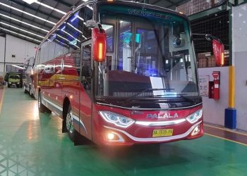 PO Palala Tambah 4 Bus Baru, Pakai Livery Spesial Edition