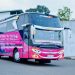 PO Eurostar Tambah 1 Unit Bus Baru dari Karoseri Adiputro