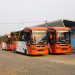 Transjakarta Tambah 12 Bus Medium, Berikut Rute dan Fasilitasnya