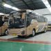 PO TAM Rilis Bus Baru dari 3 Karoseri Berbeda