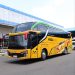 PO Mega Mas Tambah 2 Bus Baru Edisi Spesial Ulang Tahun