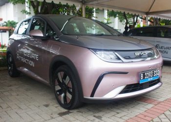 Profil BYD Dolphin, Mobil Listrik Baru Untuk Pecinta Hatchback