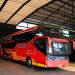 PO Halmahera Tambah 2 Suites Combi Bus Baru Pakai Sasis Scania