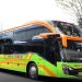 PO Maju Terus Rilis Sleeper Bus Baru dari Karoseri New Armada