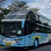 PO Sinar Muda Rilis Sleeper Bus Baru Pakai Sasis Tronton