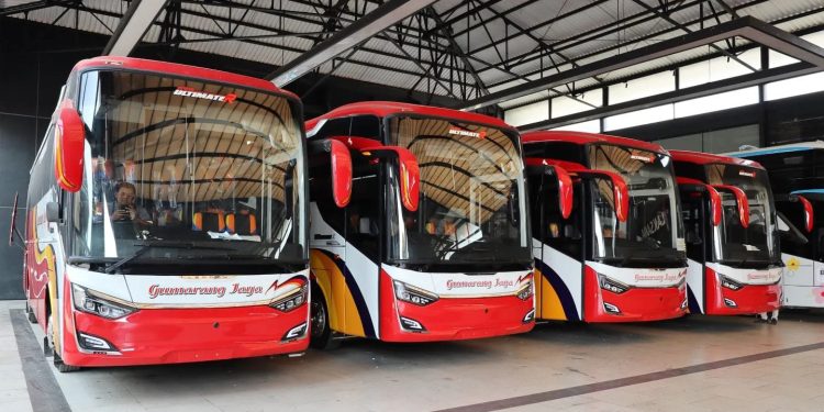 PO Gumarang Jaya Rilis 4 Unit Bus Baru, Pakai Bodi Legacy SR3 HD Panorama Ultimate-R