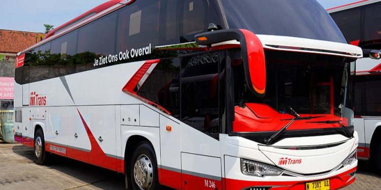 PO MTrans Borong 26 Unit Bus Anyar, Pakai Bodi Avante Series