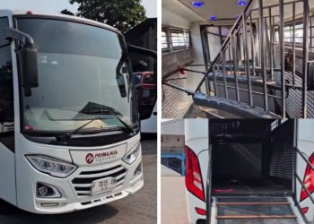 Inovasi Dari PO Primajasa, Modifikasi Bus Medium Untuk Transportasi Kuda