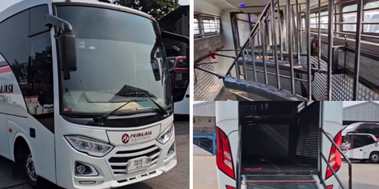 Inovasi Dari PO Primajasa, Modifikasi Bus Medium Untuk Transportasi Kuda