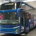 PO Pandawa 87 Rayakan 1 Dekade Dengan Menambah Sleeper Bus Baru