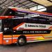 PO Rosalia Indah Kembali Rilis Unit Bus Baru, Gunakan Bodi Legacy SR3 Neo HD Prime Ultimate