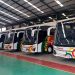 PO NPM Borong 10 Unit Bus Sutan Class Baru Dari Karoseri Adiputro