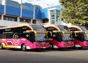 3 Sleeper Bus Baru Tanpa Toilet Milik PO Aneka Transport Segera Mengaspal