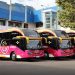 3 Sleeper Bus Baru Tanpa Toilet Milik PO Aneka Transport Segera Mengaspal