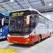 Bus Baru PO Harapan Jaya Untuk Rute AKAP, Pakai Bodi Suites Combi