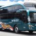 PO Borlindo Tambah 3 Sleeper Bus Baru Pakai Sasis Tronton