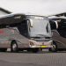 Pertama di Indonesia, PO SAN Kombinasikan Bodi Jetbus 5 dengan Sasis Golden Dragon