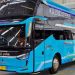 Sleeper Bus Baru PO Adhi Putra Rakitan Karoseri Laksana Pakai Sasis Tronton