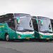 PO Tividi Luncurkan 3 Unit Bus Pariwisata Baru Dari Karoseri Adiputro