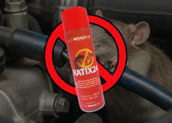 Solusi Jitu Wealthy Ratix24 Atasi Masalah Tikus di Kendaraan
