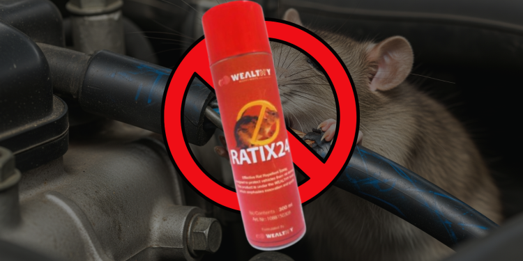Solusi Jitu Wealthy Ratix24 Atasi Masalah Tikus di Kendaraan