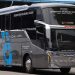 Bus AKAP Baru PO Putra Pandawa 5 Pakai Bodi Skylander R25 Fusion, Siap Bikin Penumpang Nyaman